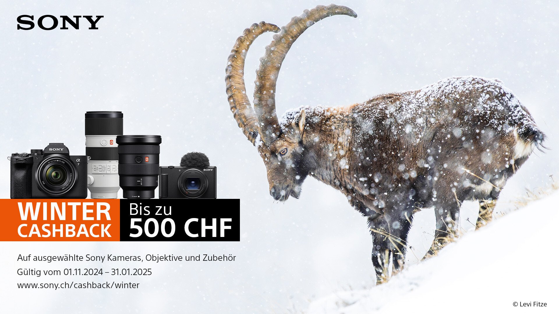 SONY WINTER CASHBACK 2024